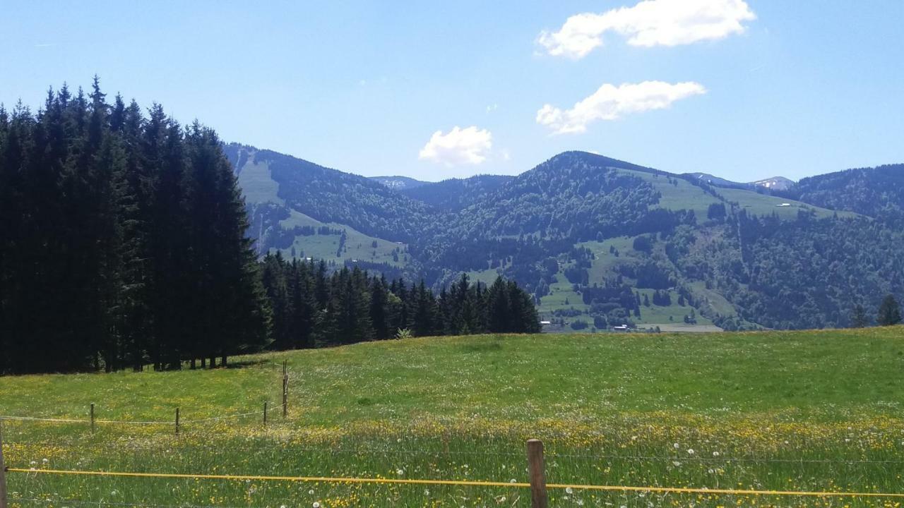 Ferienwohnung Alpenfreude มิสเซน-วิลฮามส์ ภายนอก รูปภาพ
